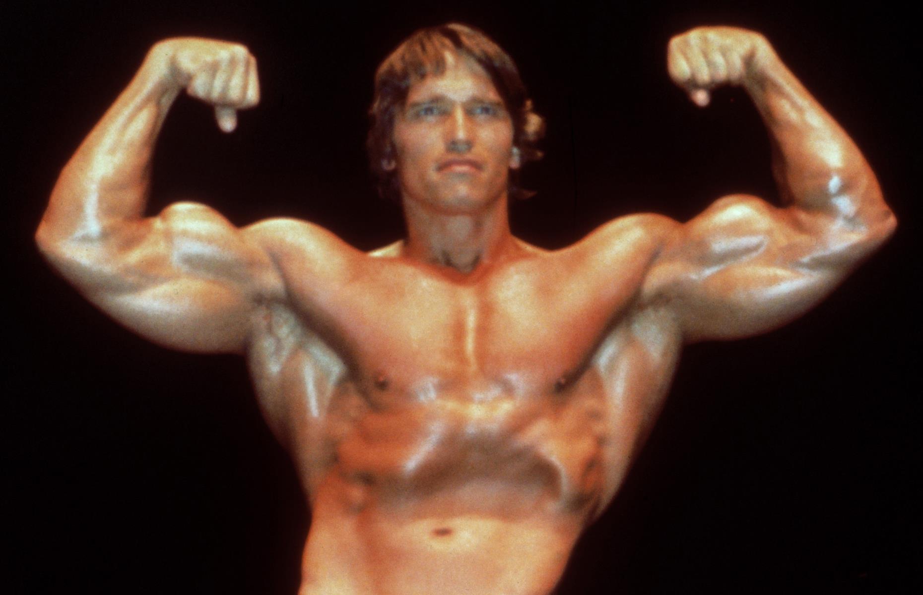Arnold Schwarzenegger: bodybuilder to actor to politician